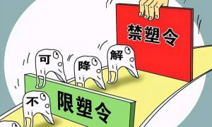 “限塑令”市场观察：继纸质吸管之后，又一风口来了？